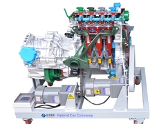 New Energy Car Anatomical Model Equipment